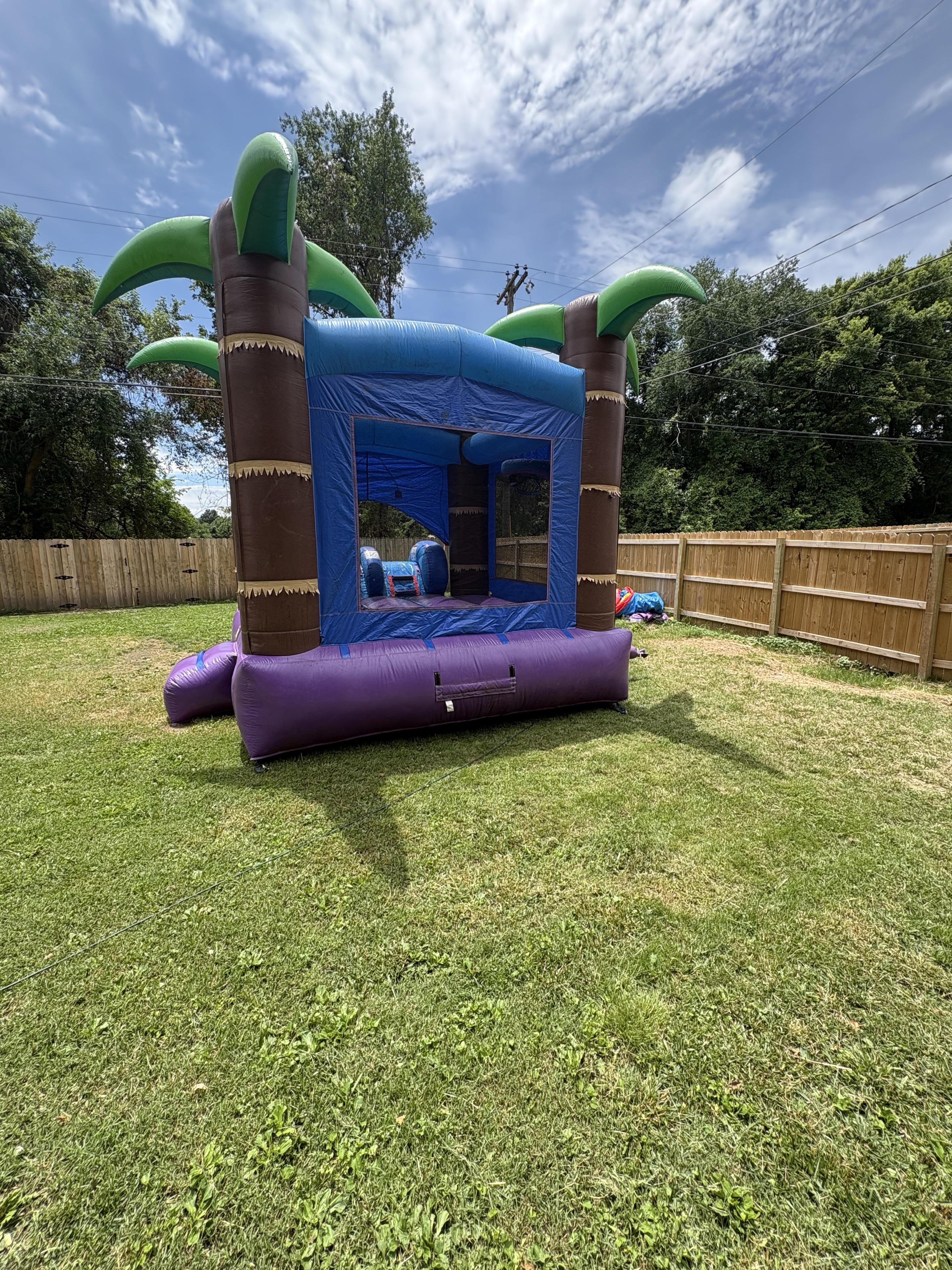 Tropical Palm Tree Bounce House with Slide